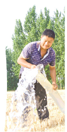 倾听山东种粮人的喜与忧 看麦田守望者的希望与探索