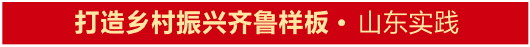 大众报业·大众日报|打造乡村振兴齐鲁样板丨文化铸魂，凝聚乡村振兴内生动力