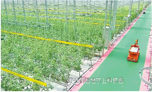 大众报业·大众日报|山东上半年投资超2100亿元 5户省属一级企业重组整合