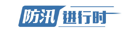 大众报业·大众日报|主汛期里的“黄河人”：数十里长堤细察蛛丝马迹