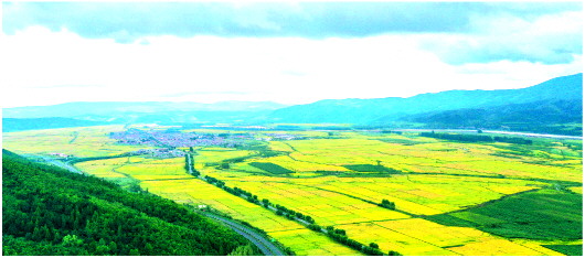 新华社|口粮、夏粮、秋粮：粮食“三交底” 我国口粮库存处于历史最充裕时期