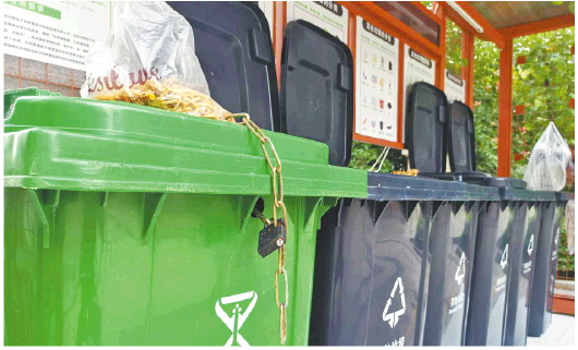 大众报业·大众日报|蹲点济南、泰安，微观生活垃圾分类