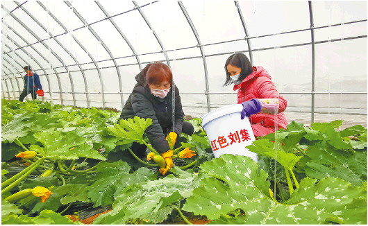 广饶县大王镇刘集后村将红色资源与生态产业有机结合，走出一条——革命老村的“红绿双赢”之路