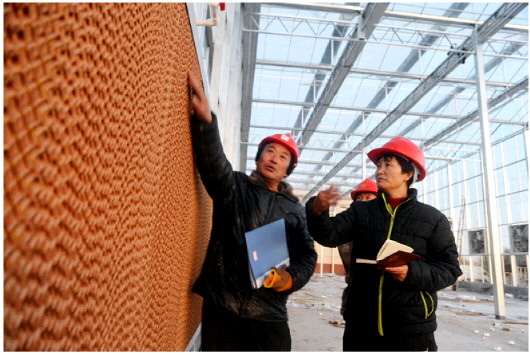 青岛地平线蔬菜专业合作社正在建设的玻璃温室里，姜波（右一）与施工技术人员讨论温控设施的安装细节。