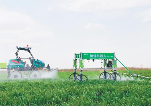 □记者刘磊通讯员常晨报道 在位于淄博市临淄区朱台镇的禾丰种业数字化生态无人农场内，植保机器人正在进行植保作业。