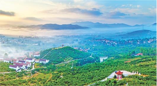 蒙阴县旧寨乡杏山子村航拍图。（□记者纪伟报道）