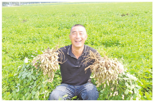 □记者张晓帆报道 　　近日，莱西市夏格庄镇农民拿着丰收的花生，脸上满是笑容。