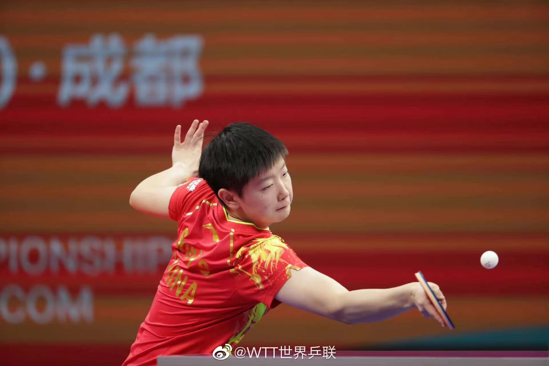 国乒公布成都世乒赛名单选拔办法，9月11日将公布参赛名单 - 哔哩哔哩