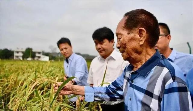 北京日报|今天，“90后”袁隆平许下一个生日愿望