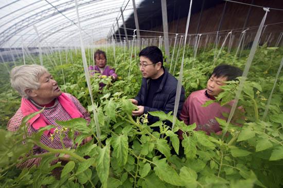 2月13日,在山东省茌平县贾寨镇堤头袁村,扶贫项目大棚蔬菜里,镇扶贫