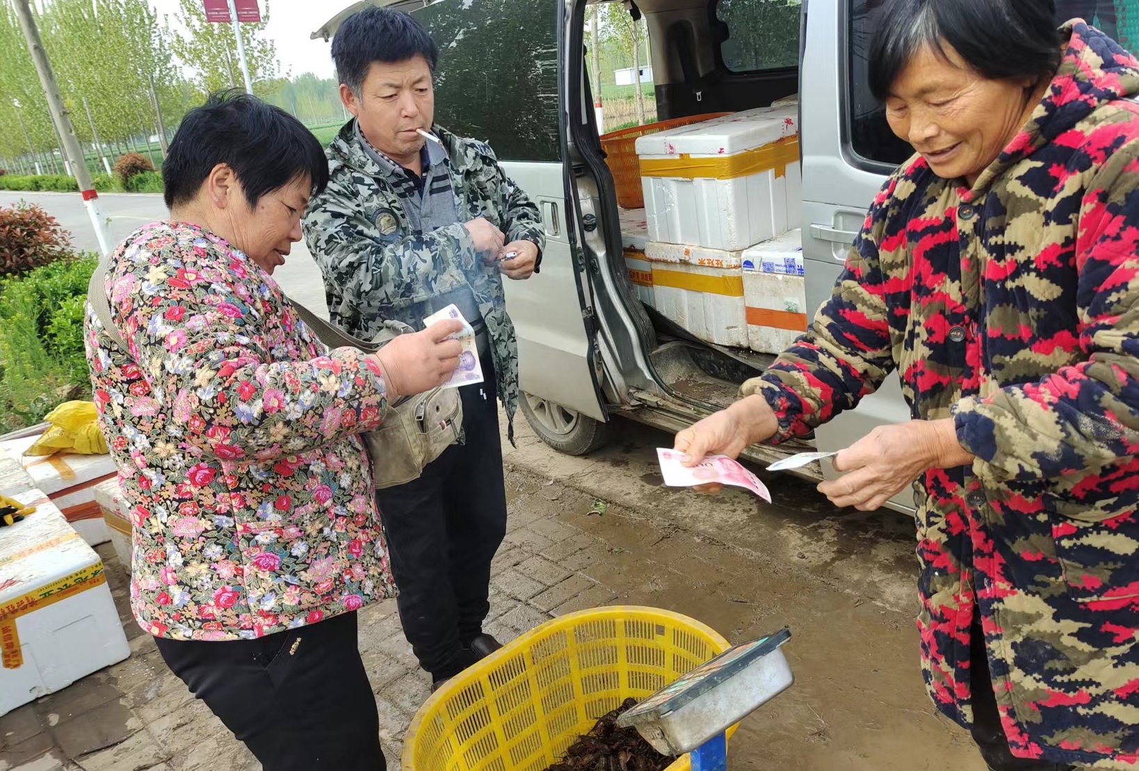 东平小龙虾抢鲜上市