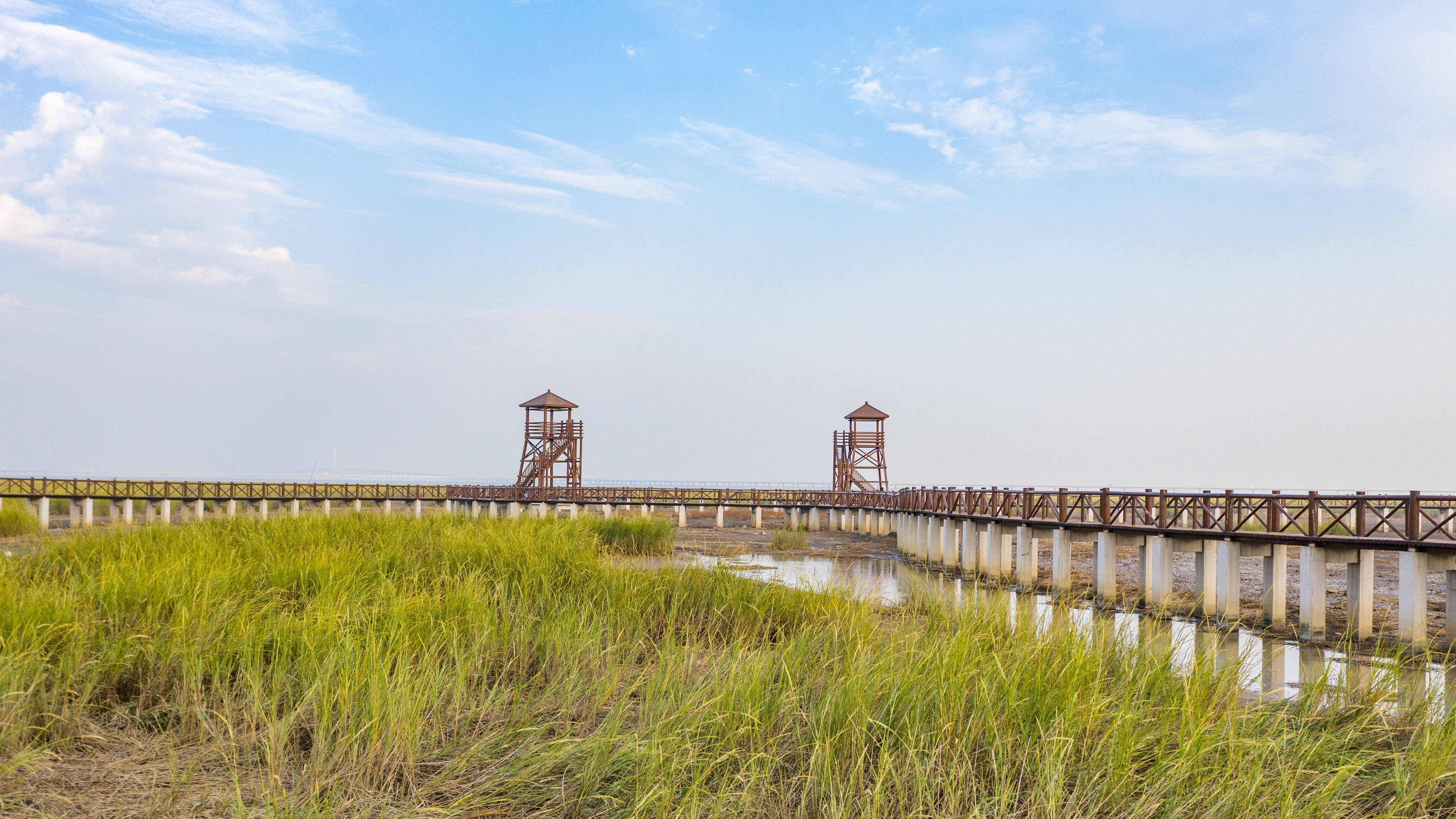 胶州湾洋河入海口湿地景色秀丽